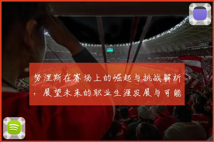 努涅斯在赛场上的崛起与挑战解析，展望未来的职业生涯发展与可能性